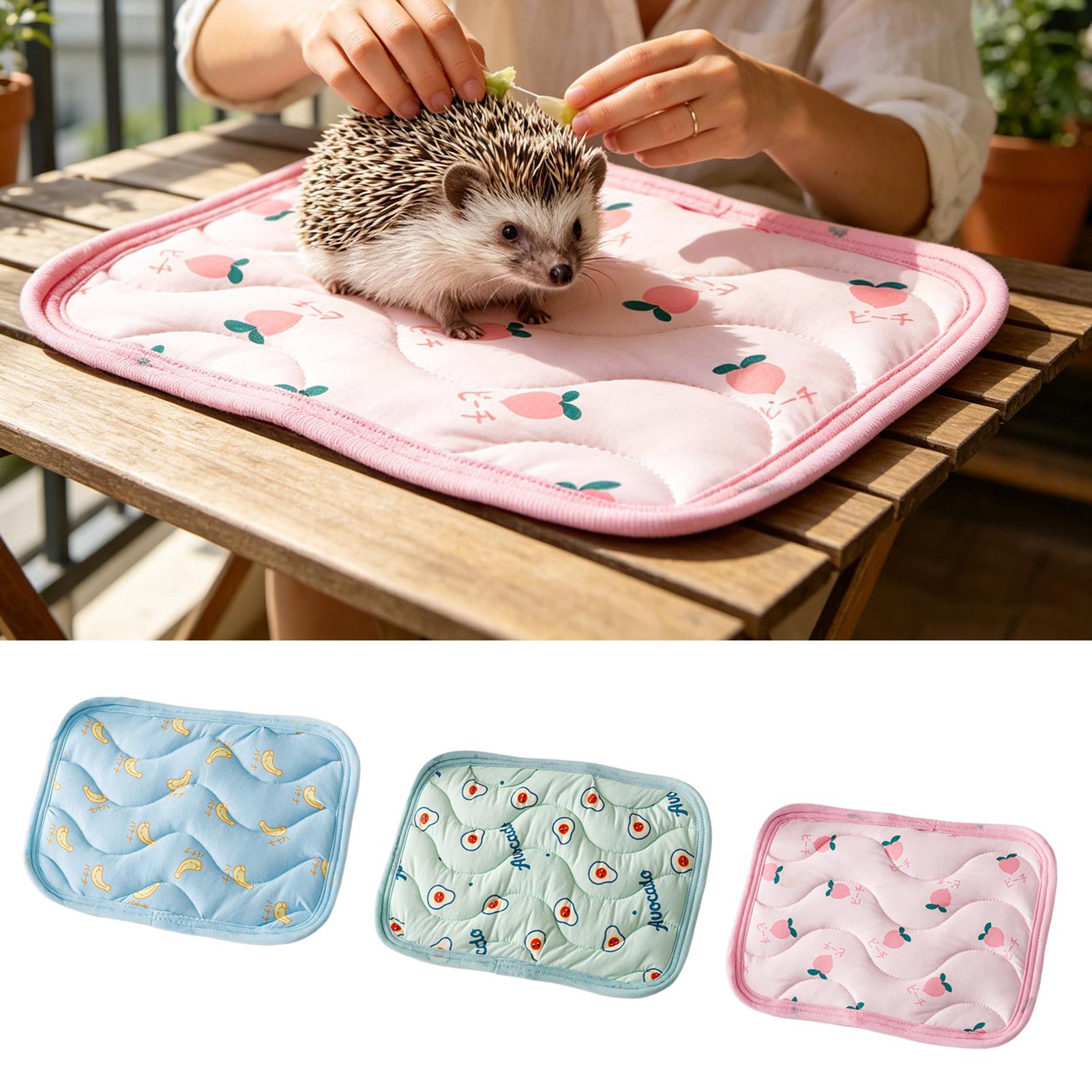 Outdoor Camping Dog Bed - Alas Pendingin Hewan Peliharaan yang Dapat