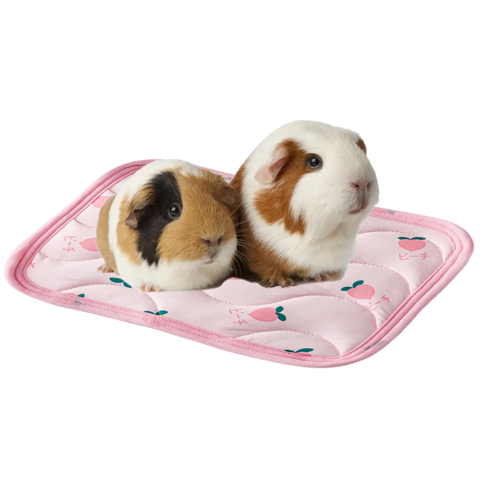 Alas Pendingin Hewan Peliharaa - Outdoor Camping Dog Bed ulasan dan harga