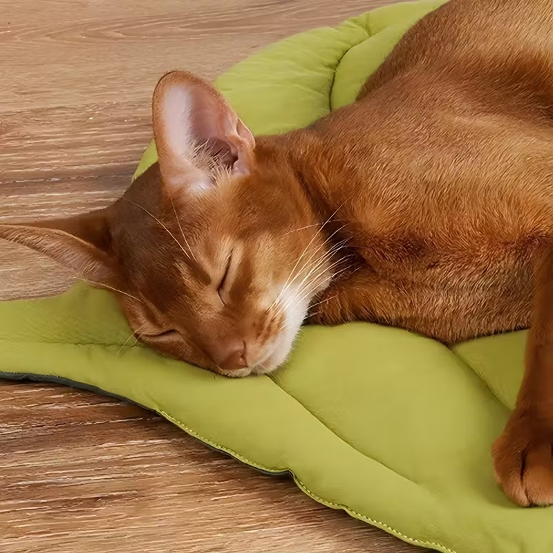 Alas Tidur Hewan Peliharaan Le - Outdoor Camping Dog Bed ulasan dan harga