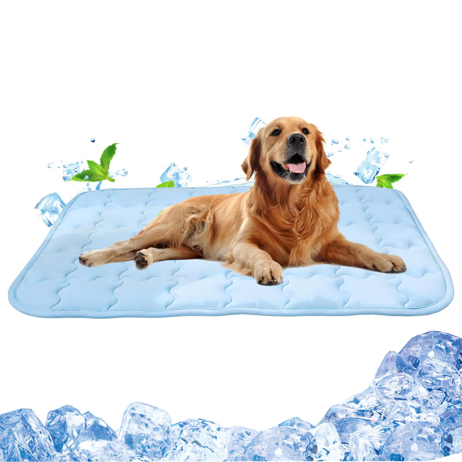 Alas Pendingin Anjing yang Dap - Outdoor Camping Dog Bed ulasan dan harga